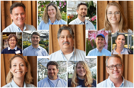 employee-montage-16 employee-montage-16