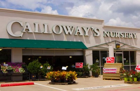 Lewisville - Calloway’s Nursery | Dallas | Fort Worth | Texas