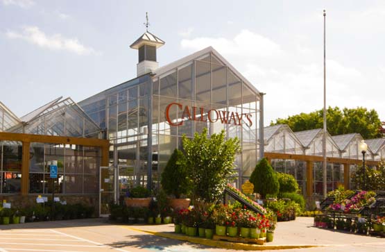 McKinney Calloway s Nursery Dallas Fort Worth Texas