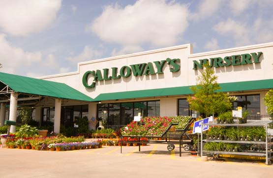 Plano Calloway s Nursery Dallas Fort Worth Texas