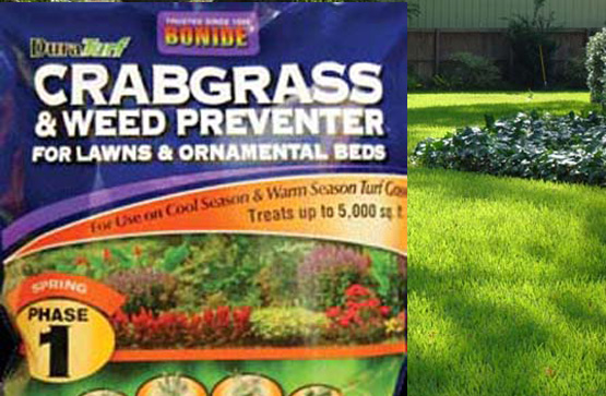 Crabgrass Preventer Crabgrass Preventer