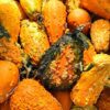 Monster Gourd