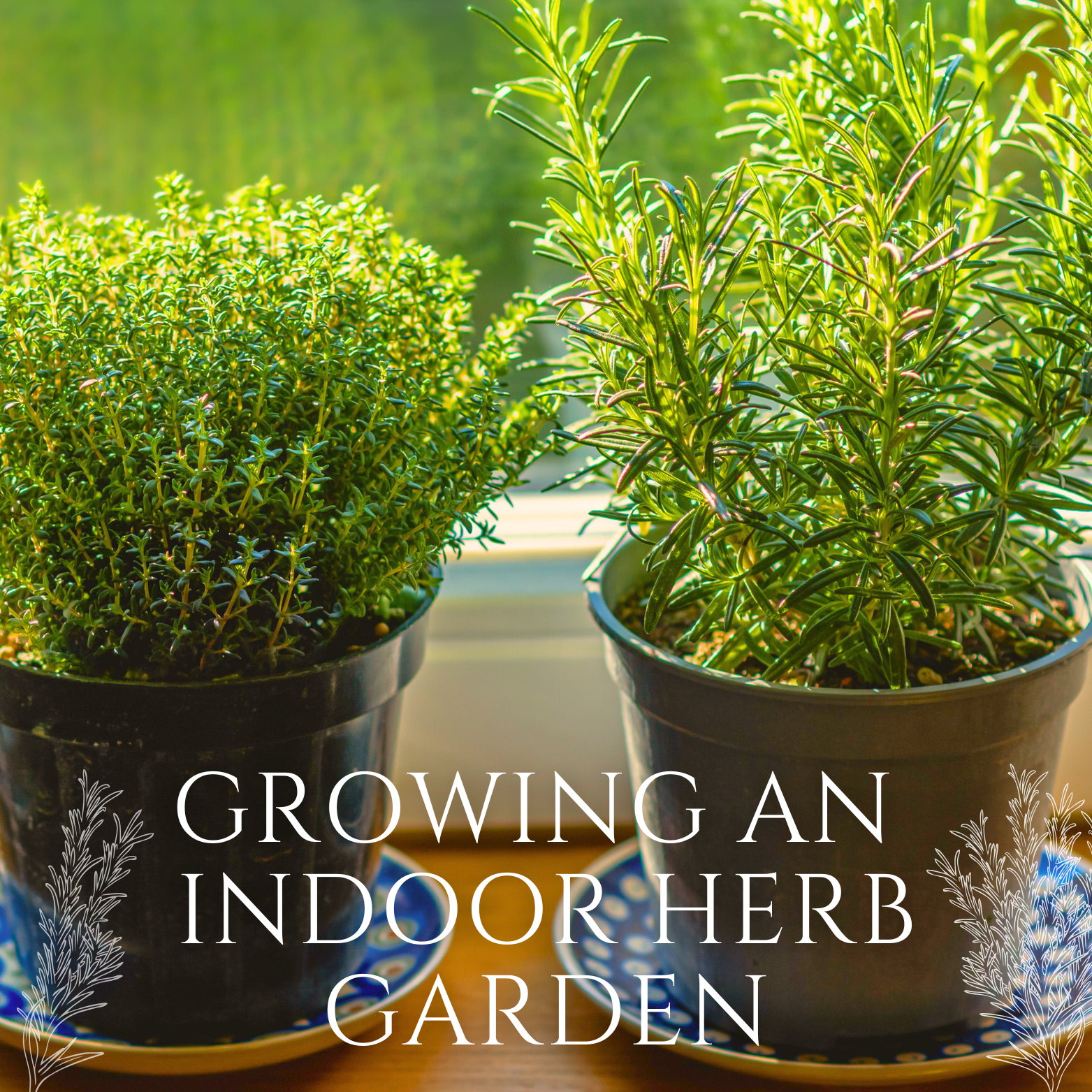 Spring Blooming Shrubs to Plant Now | Must-Have Spring Shrubs