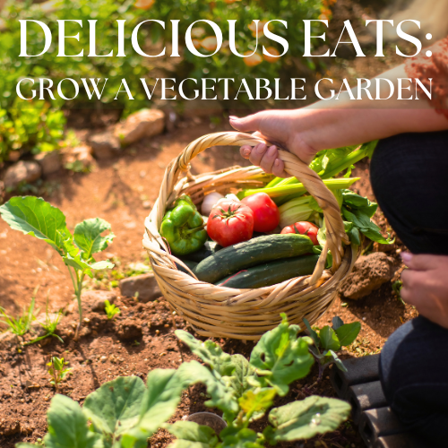 grow a vegetable garden