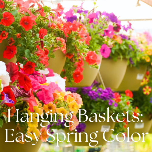 spring hanging baskets