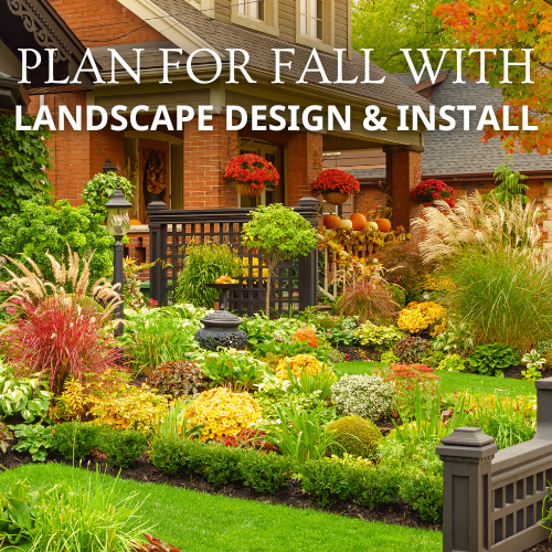 Plan for Fall With Landscape Design & Installation | Calloway's Nursery