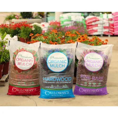 calloways cedar mulch gardening tips