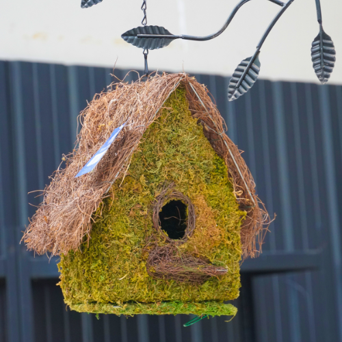 Natural Bird House to Support Wild Birds at Home | Calloway's Nursery