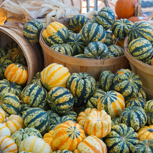 Assorted green, yellow, and white striped pumpkins in wooden baskets at a fall harvest market.