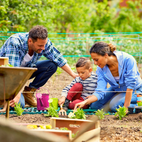 Family Gardening and Watering Plants | Calloway’s Nursery