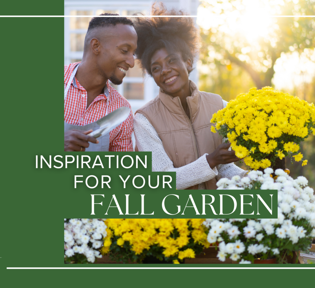 Inspiration for your Fall Garden Calloway’s Nursery