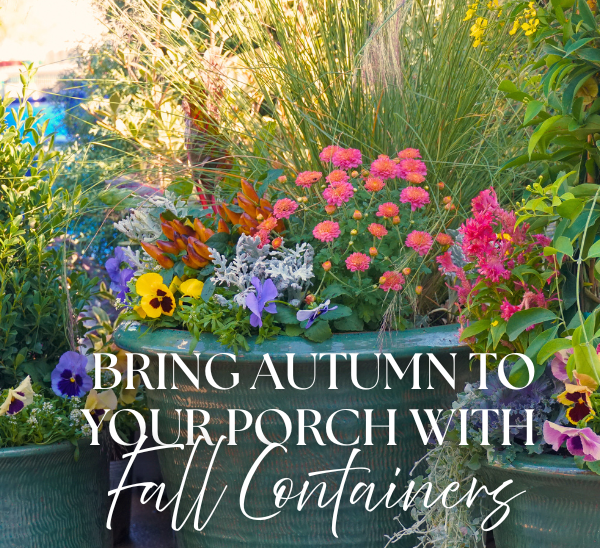 Bring Autumn to your Porch with Fall Containers