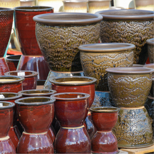 decorative christmas cactus