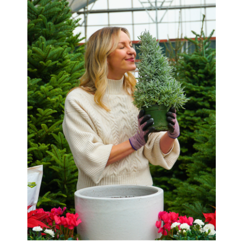 wreath candle holder