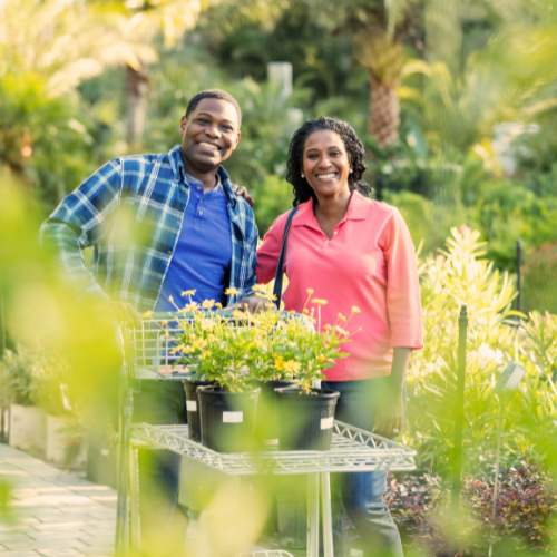 Benefits of Having Flowerbeds and Plants in Your Home or Office | Calloway’s Nursery