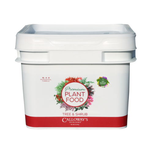 tree and shrub plant food