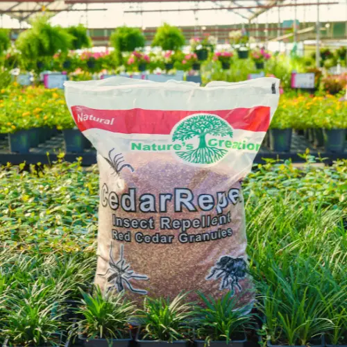 cedar warrior bag gardening tips