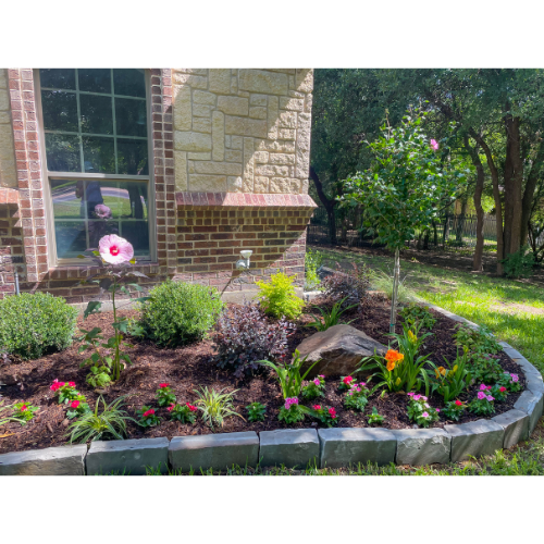 Mediterranean Landscape Design for Fall | Calloway's Nursery