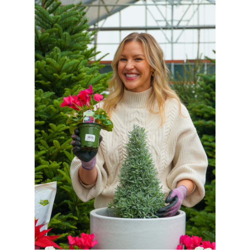 wreath candle holder