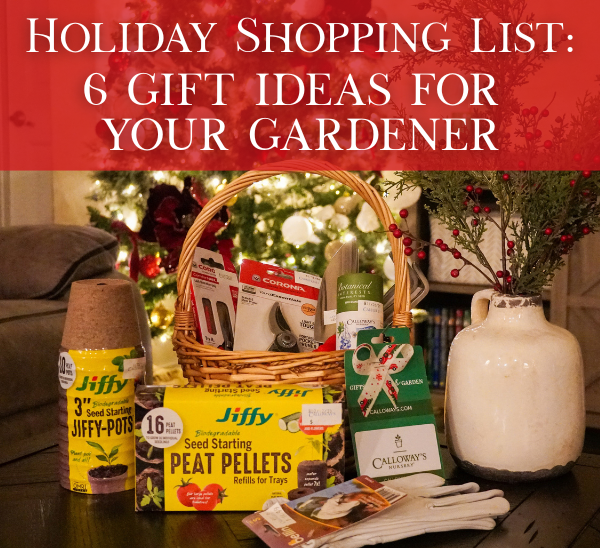 Holiday Shopping List: 6 Gift Ideas For Your Gardener