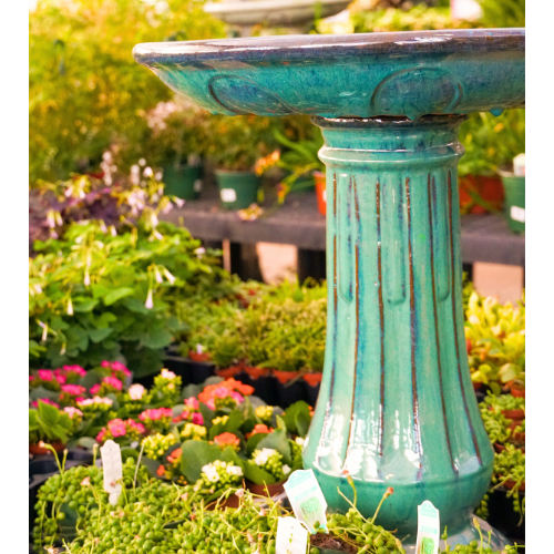 Bird Bath Ingredients to Support Wild Birds at Home | Calloway's Nursery