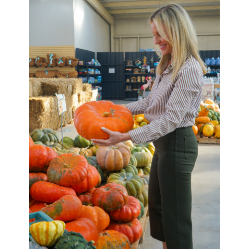 Woman in striped shirt holding a large orange pumpkin at a colorful fall harvest market.