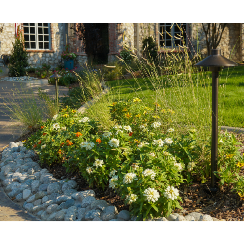 Landscape Design for Fall | Calloway's Nursery