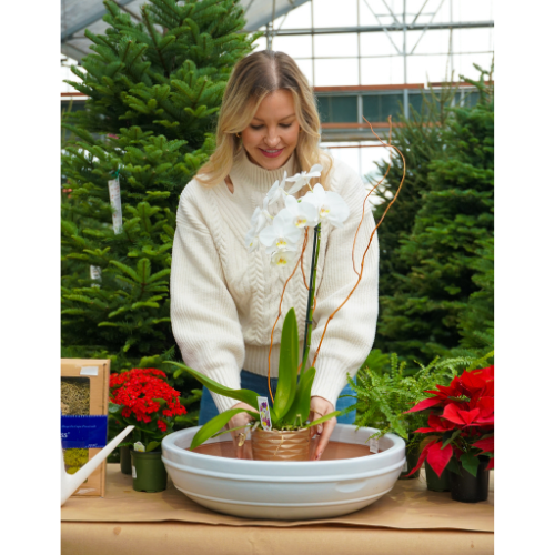 premium christmas bouquet