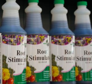Nature's Creation Root Stimulator