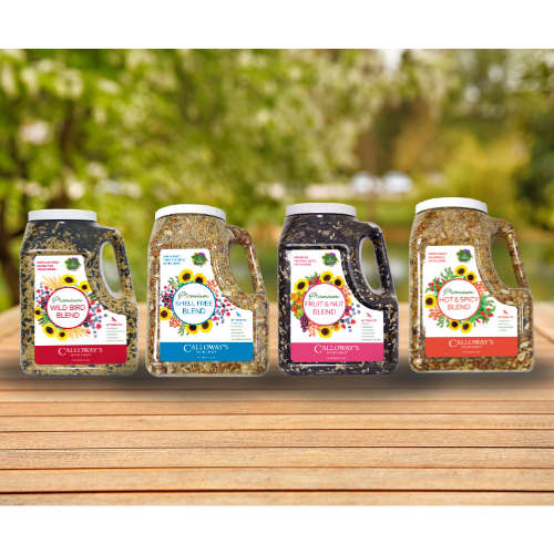 Calloway’s Premium Bird Seed to Support Wild Birds at Home | Calloway's Nursery