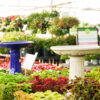 Birdbaths