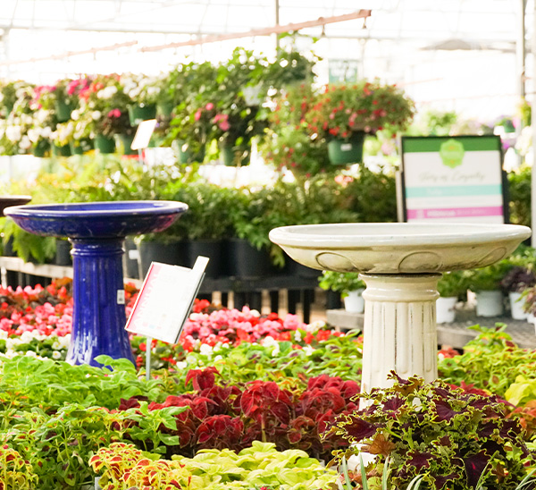 Birdbaths