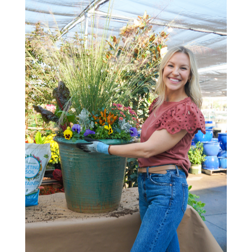plants for fall