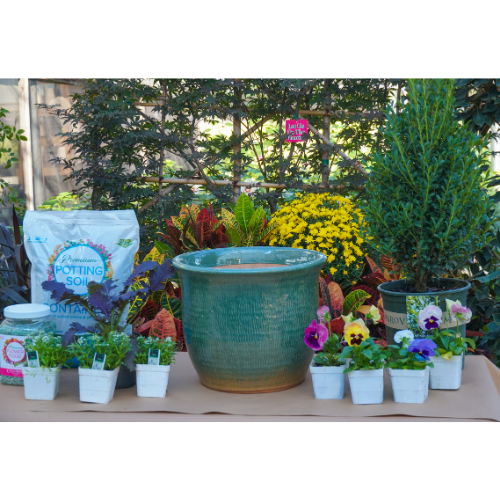 plants for fall