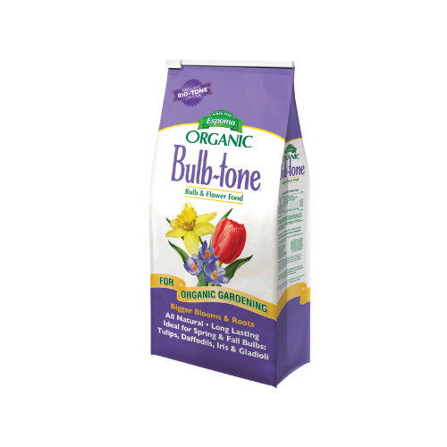 bulb food