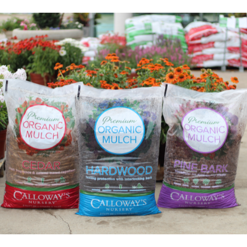 mulch