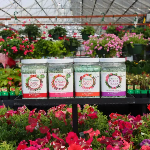 gardening tips calloway's premium flower food