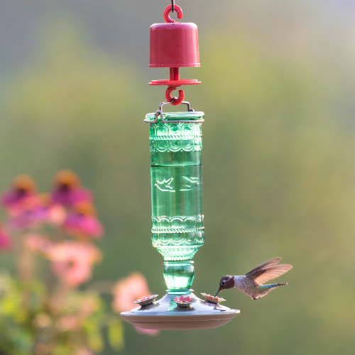  More Birds® Gem Hummingbird Feeder | Calloway's Nursery