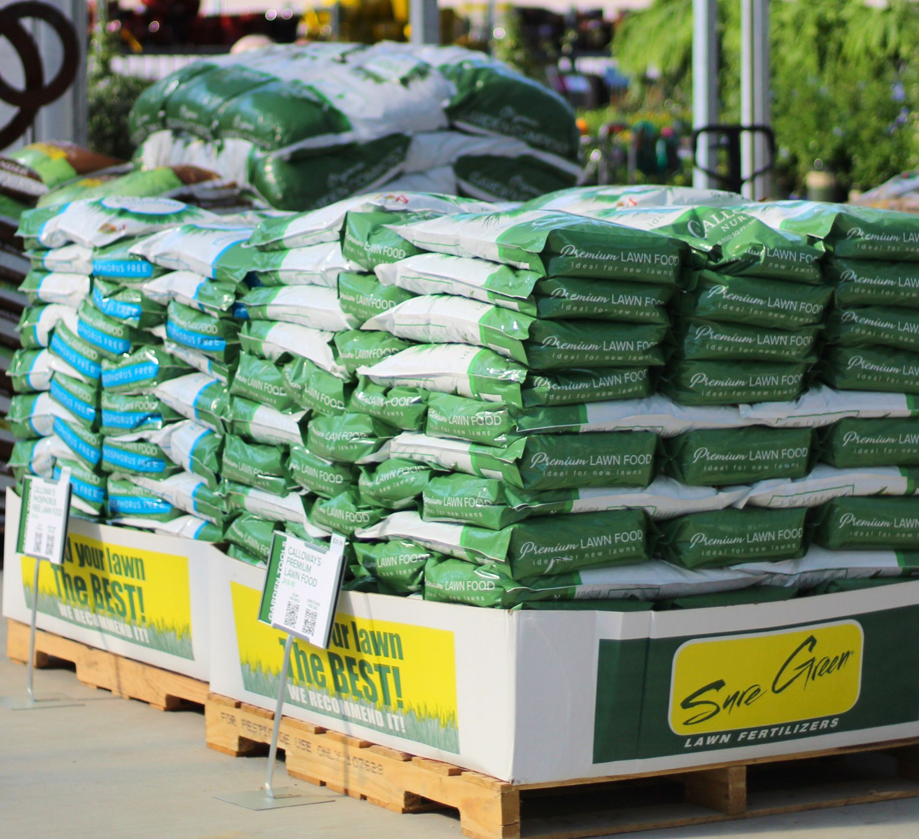 Link to Calloway's Premium Lawn Food & Phosphorus Free 	 product page