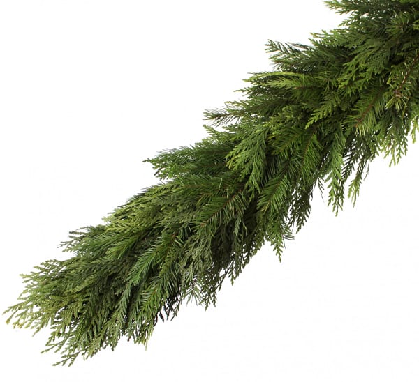 Cedar-Douglas Fir Garland