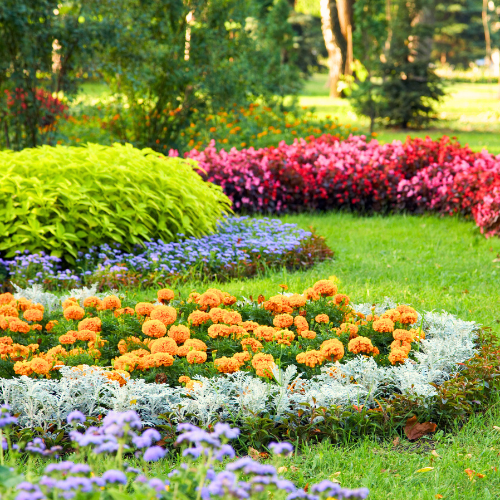 flowerbed