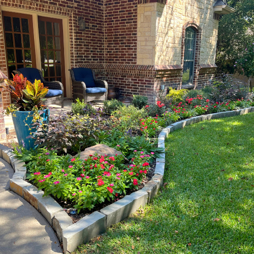Pool Landscaping for Fall | Calloway's Nursery