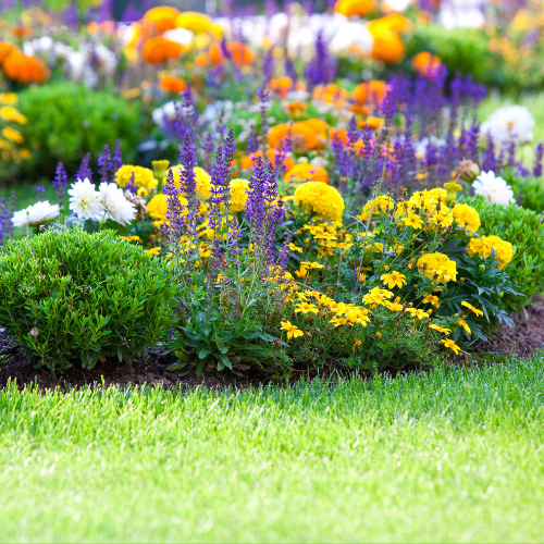 Purple and Yellow Landscape