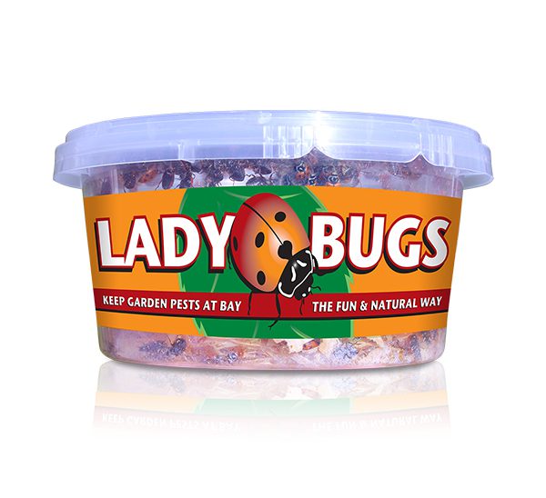 Organic Control, Inc. Ladybugs
