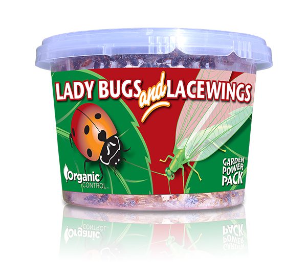Organic Control, Inc. Lady Bugs and Lacewings