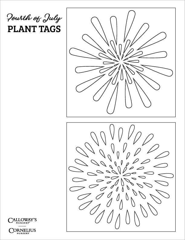 fourth of july firework plant tags