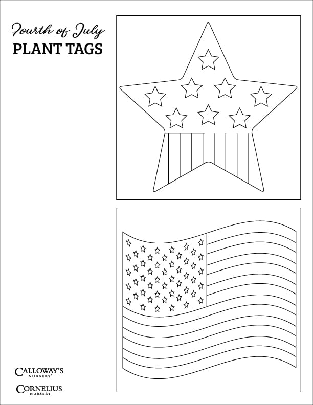 fourth of july flag plant tags