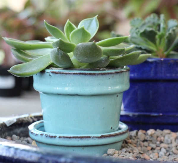 Pottery 