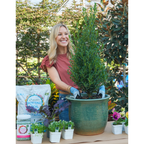 container gardening
