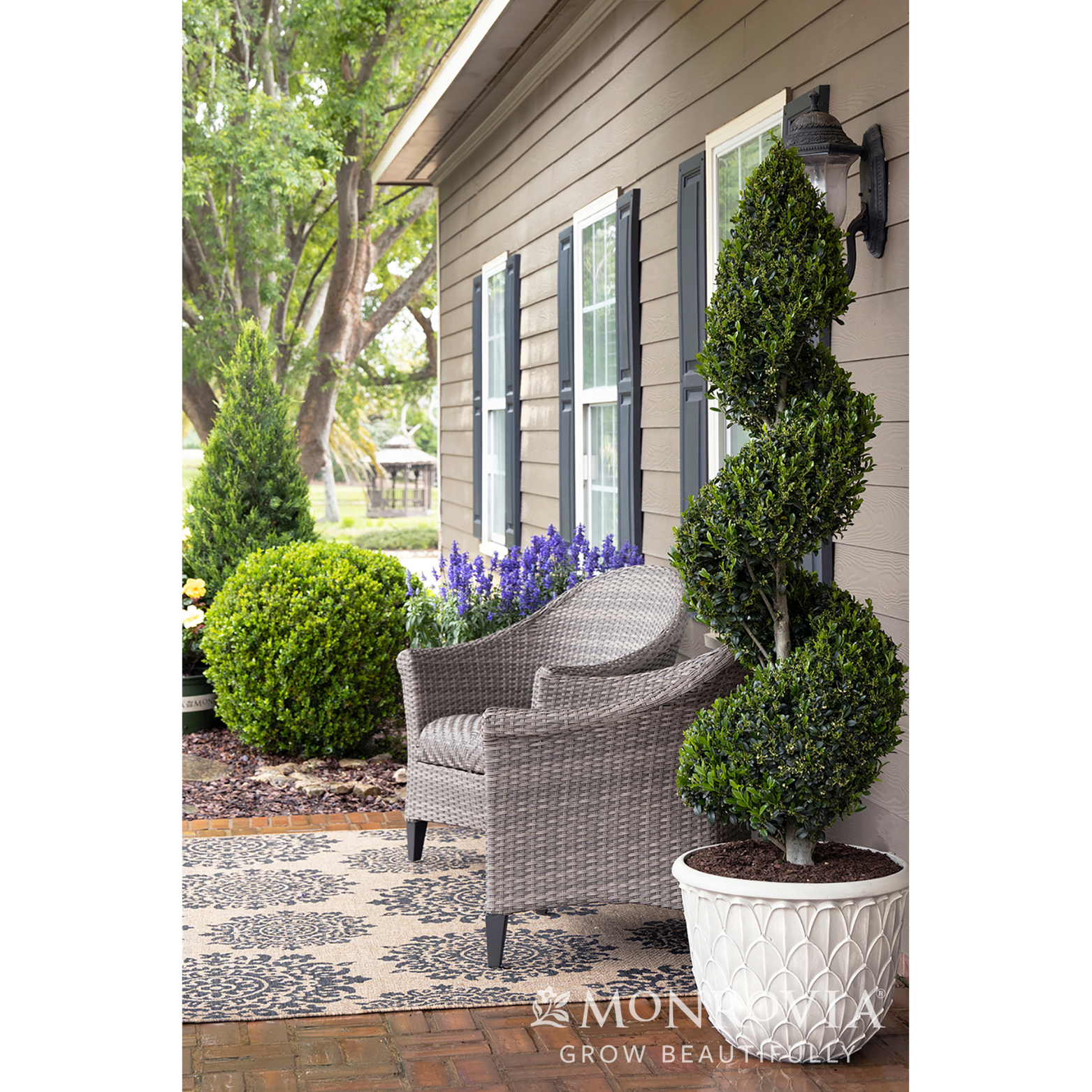 summer container gardening